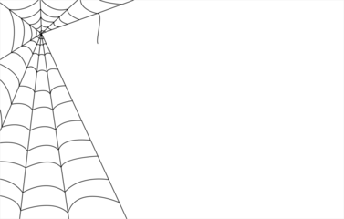 spider web on transparent background