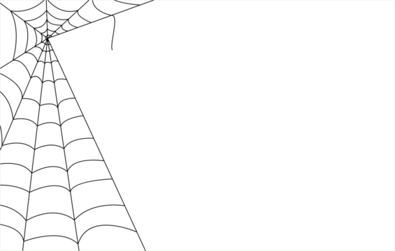 spider web on transparent background