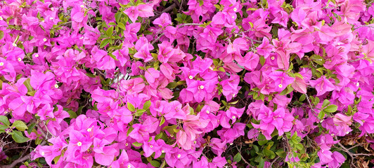 Urban Park Design-48