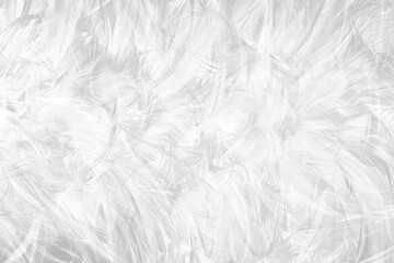 Gray white feather wooly pattern texture background