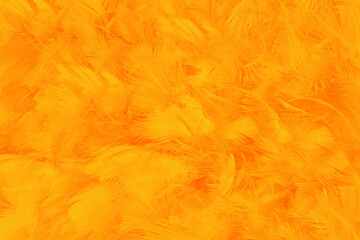 Orange yellow feather texture pattern background
