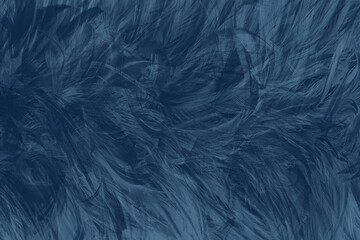  blue black feather abstract texture pattern background