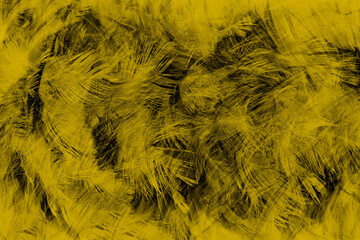 Beautiful vibrant yellow feather texture background