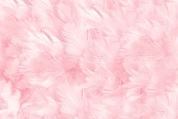 Foto op Canvas Beautiful soft pink feather pattern texture background © nadtytok28