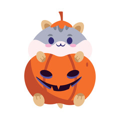 halloween pet disguised of pumpkin