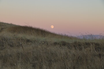The Sturgeon moon rose just after sunset in the hills of the East Bay