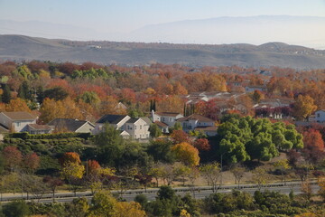 Fall colors in the Dougherty Hills, San Ramon, California