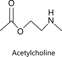 Formula of chemical structure of Acetylcholine, Memantine.