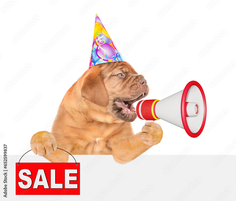 Poster funny mastiff puppy wearing party cap barks into megaphone above empty white banner and shows signbo