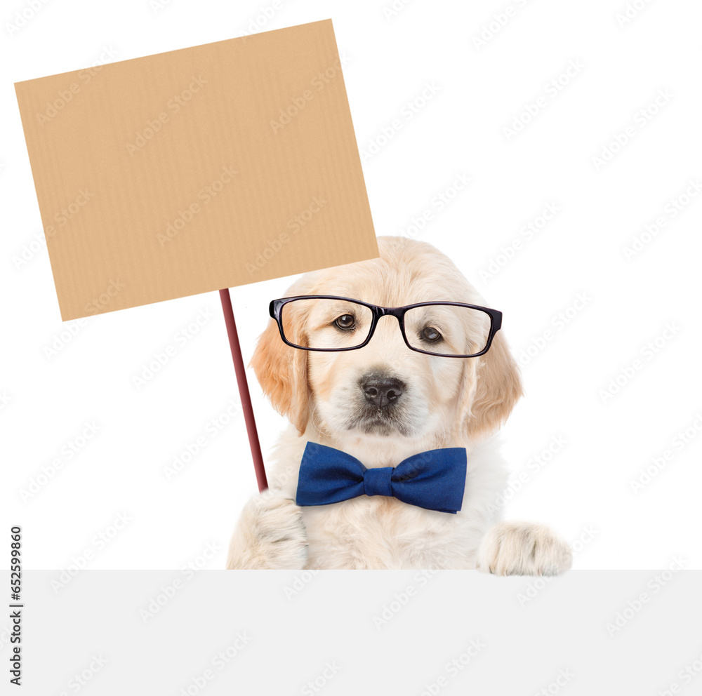 Poster funny smart golden retriever puppy wearing eyeglasses and tie bow shows empty placard above empty wh