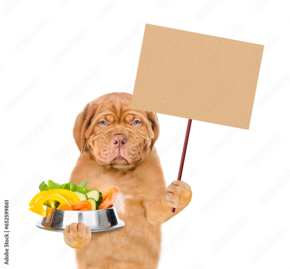 Poster serious puppy holds bowl of vegetables and shows empty placard. isolated on white background