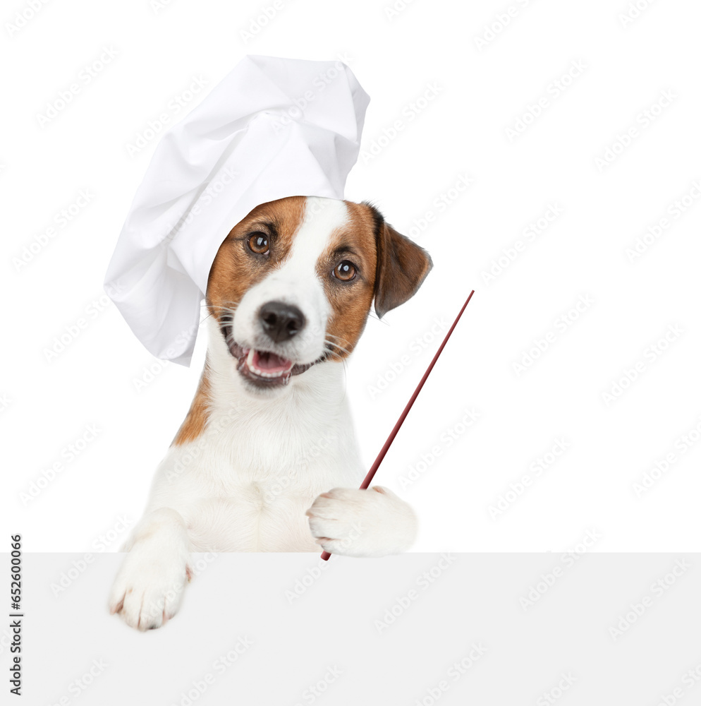 Poster smiling jack russell terrier dog wearing chef's hat looks above empty white banner and points away o