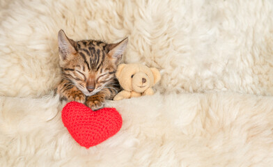 Cute bengal kitten lying with favorite toy bear and red heart under white warm blanket on a bed at...