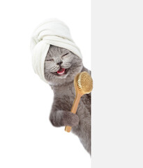 Happy cat with towel on it head looks from behind empty white banner and holds bath brush. isolated on white background
