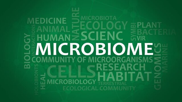Microbiome typography animation, consisting of important words and concepts. 3D render