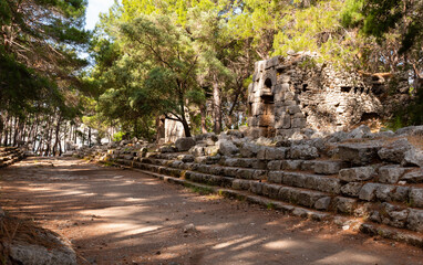 Fototapeta premium Stone remains of central street connecting main harbor with southern port in ancient once prosperous coastal Lycian city of Phaselis in shade of pine trees in green Beydaglari park, Kemer district