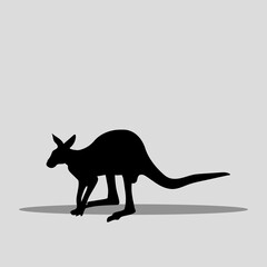 Kangaroo vector png