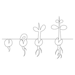 Single line Plant growth processing from seed illustration