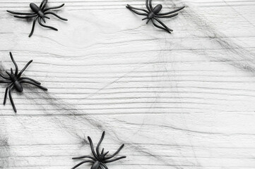Halloween background with spider web and spiders