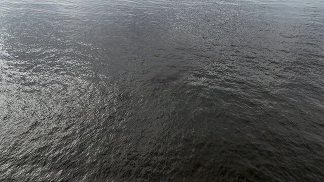 An aerial view over the green waters of the Atlantic Ocean, off Rockaway Beach in New York. The drone camera dolly in then tilt down over a school of fish.