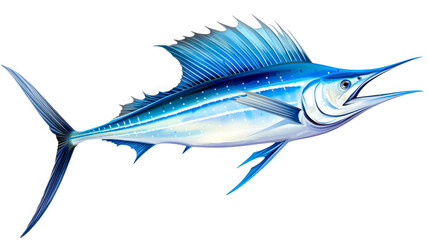 Fototapeta premium Blue marlin fish isolated on white background.