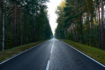 A beautiful straight asphalt road among a pine forest.