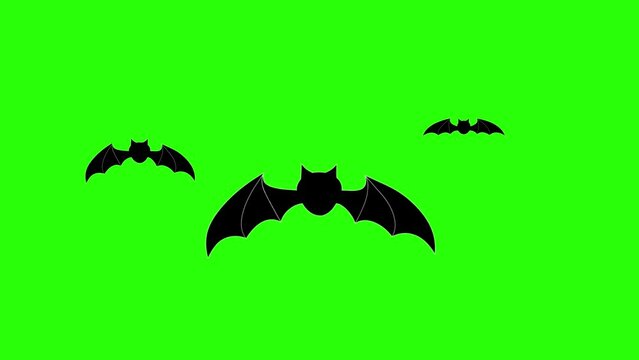 bat animation green screen transition animation halloween virus nipah virus Indian bat virus