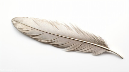 Old silver feather brooch