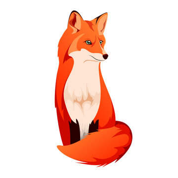 A bright fox on a white background. Cartoon style.
