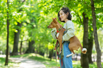 A young beautiful woman holds a dog in her arms for a walk. non-barking african basenji dog. 