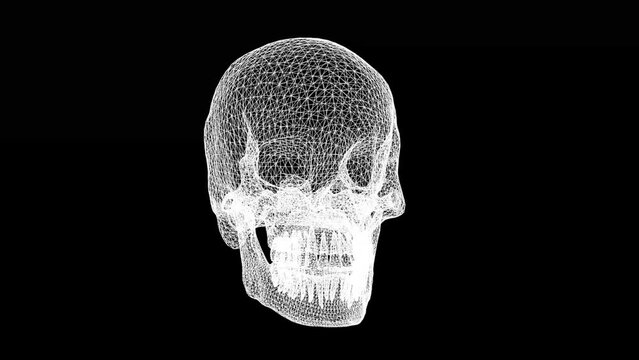 Spinning 3d wireframe human skull motion graphics with plain black background