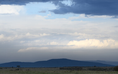 African savanna landscape