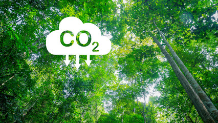 H CO2 reduction concept. for the environment, global warming, sustainable development and green business from renewable energy