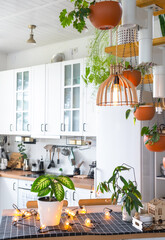 The general plan of a light white modern rustic kitchen with a modular metal staircase decorated with potted plants. Interior of a house with homeplants