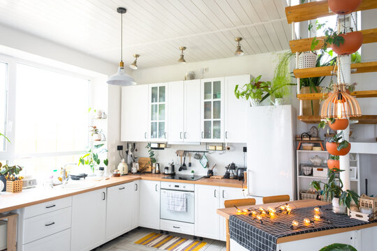 The general plan of a light white modern rustic kitchen with a modular metal staircase decorated with potted plants. Interior of a house with homeplants