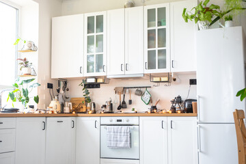 Light white modern rustic kitchen decorated with potted plants, loft-style kitchen utensils. Interior of a house with homeplants