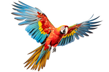 Obraz premium a beautiful parrot flying full body on a white background studio shot isolated PNG