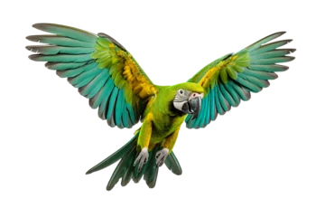 Poster Im Rahmen a beautiful parrot flying full body on a white background studio shot isolated PNG © JetHuynh