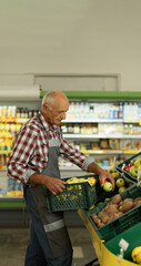 An elderly male worker puts fruits in the vegetable department on shelves with eco products.