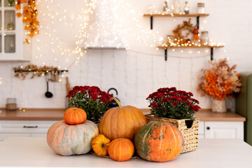 Autumn kitchen interior. Red and yellow leaves and flowers in the vase and pumpkin on light background - 652644078