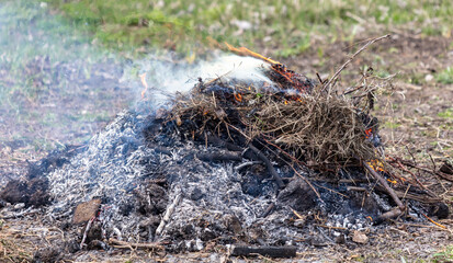 Burning dry grass on the ground in the forest. Close-up