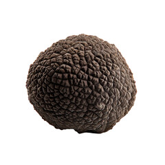 Black truffle isolated on transparent background,Transparency 
