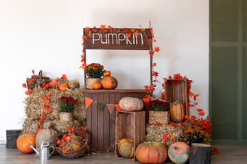 Obraz premium Pumpkin shop. Pumpkins in baskets and boxes. Many different pumpkins for sale. Concept of autumn, harvest and celebration.