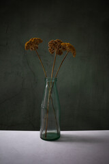 flowers in vase