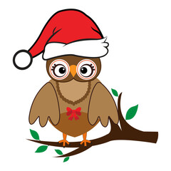 Cartoon cute Owl school Teacher Character Design. 100 days school  Character Design.