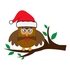 Cartoon cute Owl school Teacher Character Design. 100 days school  Character Design.