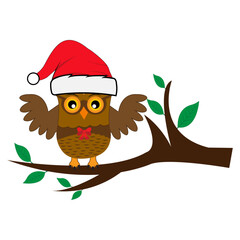 Cartoon cute Owl school Teacher Character Design. 100 days school  Character Design.