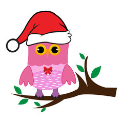 Cartoon cute Owl school Teacher Character Design. 100 days school  Character Design.