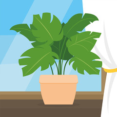 Houseplant in a pot on the windowsill. Flat style vector illustration.