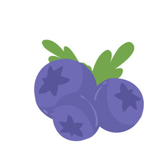 illustration of blueberries